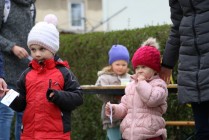 Cesta za pohádkou - Šípková Růženka